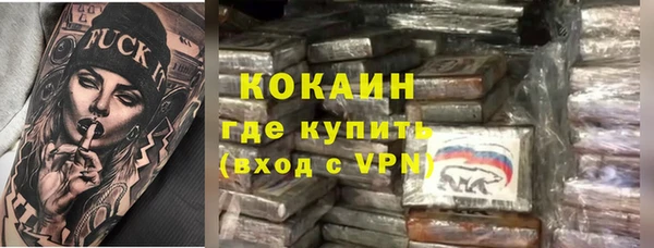 мет Алексин