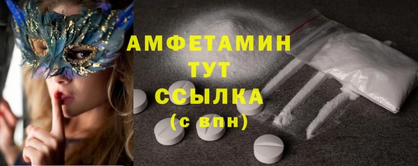 PSILOCYBIN Майский