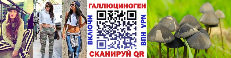 Псилоцибиновые грибы Cubensis  Новошахтинск 